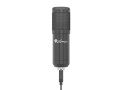 Microfoon Genesis Radium 400 Studio usb