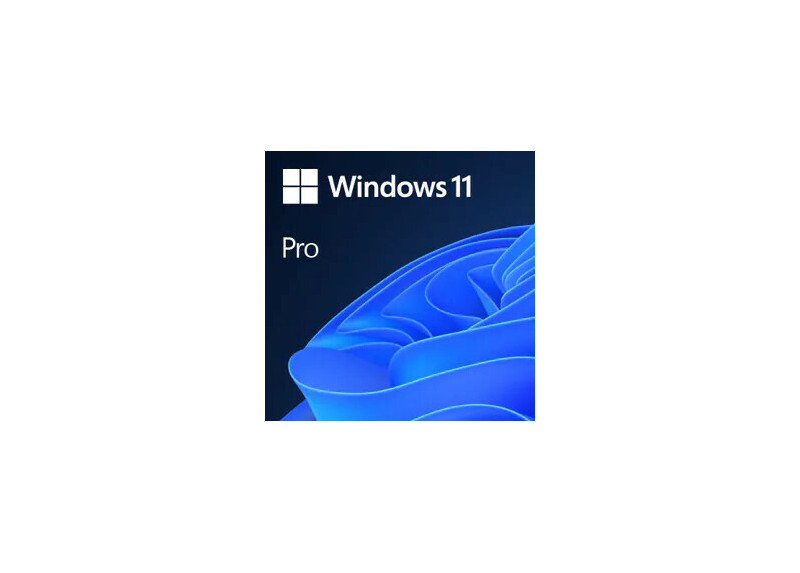OS Microsoft Windows 11 Pro 64bit ESD Multilanguage