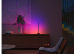 Philips Hue Gradient Signe Tafellamp White & Color Ambiance