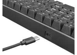 White Shark SHINOBI GK-2022 TKL Gaming toetsenbord met LED verlichting en Outemu Rode mechanische switches US Layout - Zwart