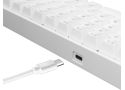 White Shark SHINOBI GK-2022 TKL Gaming toetsenbord met LED verlichting en Outemu Rode mechanische switches US Layout Wit